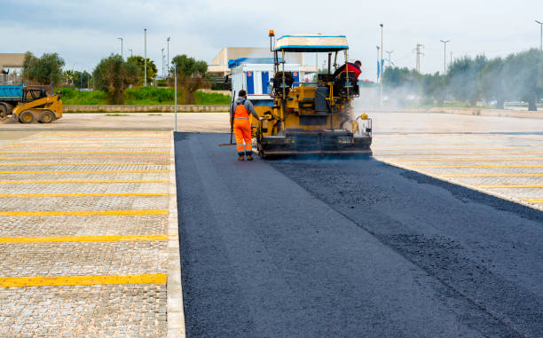 Best Driveway Pavers Near Me  in Trinity, AL